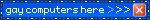 GAY COMPUTERS GAY COMPUTERS